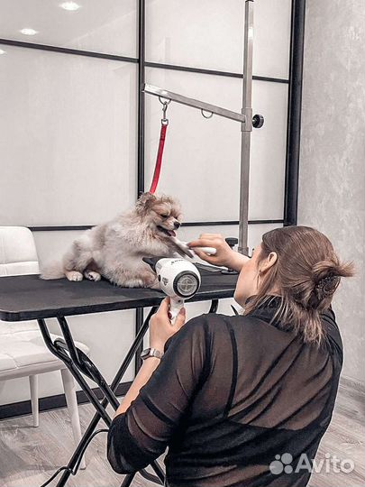 Груминг, выезд на дом