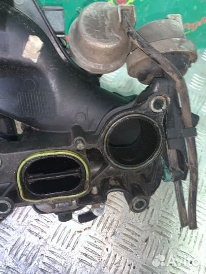 Впускной коллектор Ford Focus 2