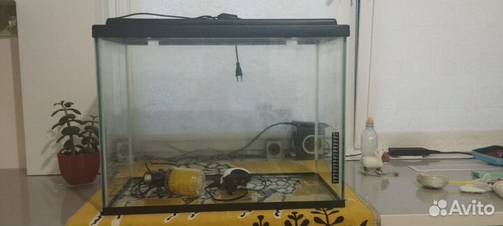 Аквариум