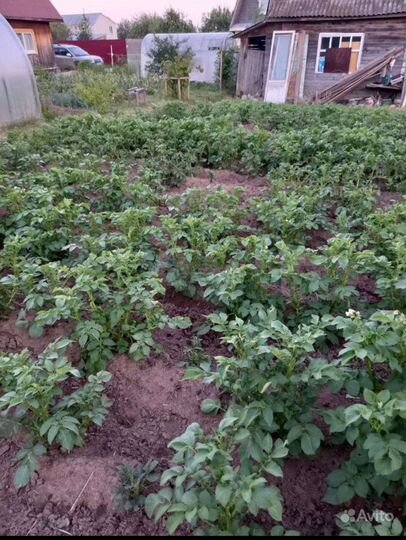 Дача 20 м² на участке 5 сот.