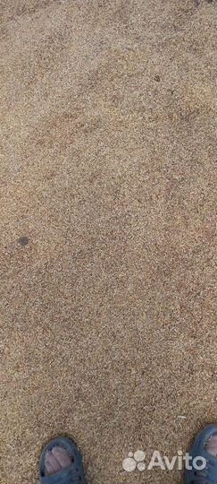 Опилки рисовая шелуха для птицы животных