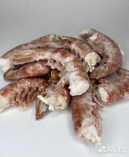 Лангустины креветки С1