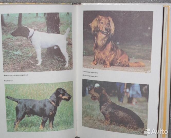 Книга собаковода с красочными фото вставками