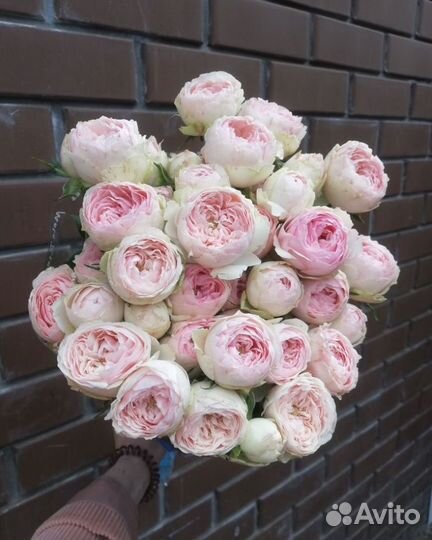 Пионовидные розы, букет роз, цветы с доставкой