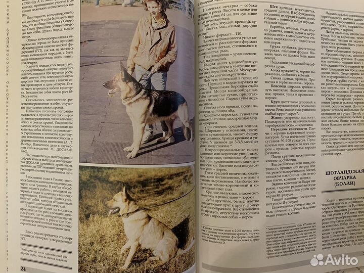 Книги о собаках