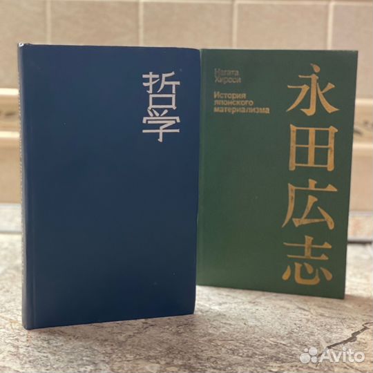 Нагата Хироси. История философской мысли Японии