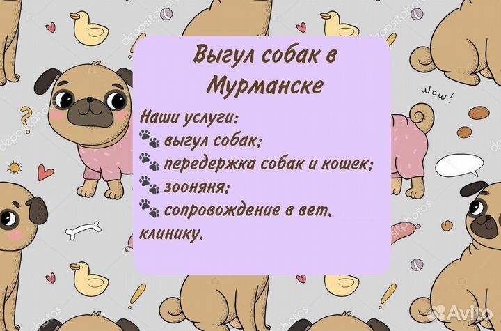 Выгул собак