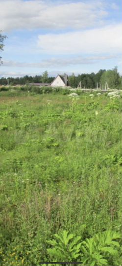 Участок 10 сот. (СНТ, ДНП)