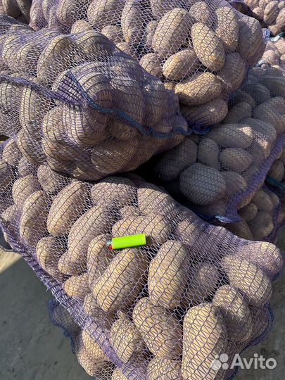 Картофель оптом