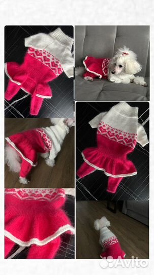 Одежда для собак мелких пород