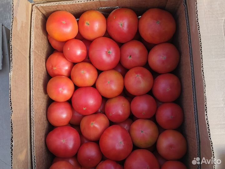 Помидоры розовые