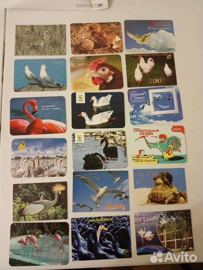 Календарь карманный. Птицы