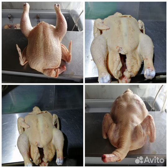 Куры бройлеры тушки мясо