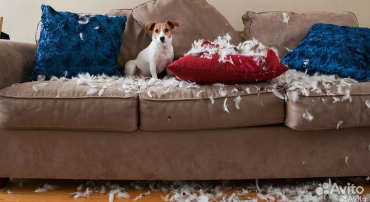 Ремонт и перетяжка мягкой мебели на дому