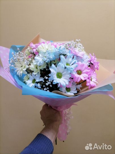 Хризантема кустовая