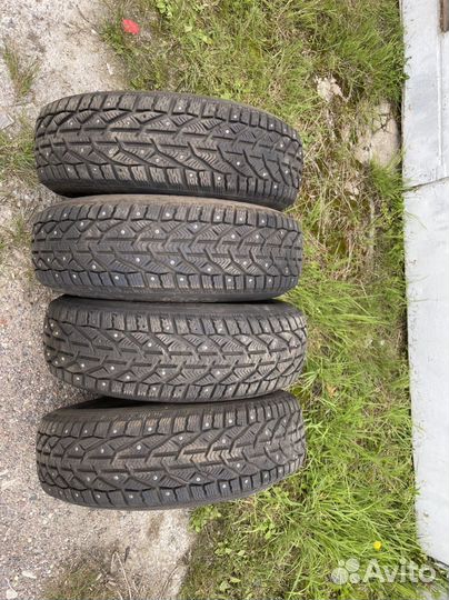Tigar Ice 185/65 R15