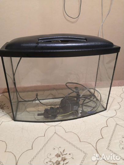 Аквариум террариум