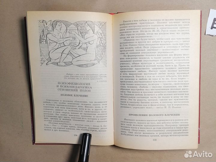 Начала семейной жизни. Мужчина и женщина Логинов