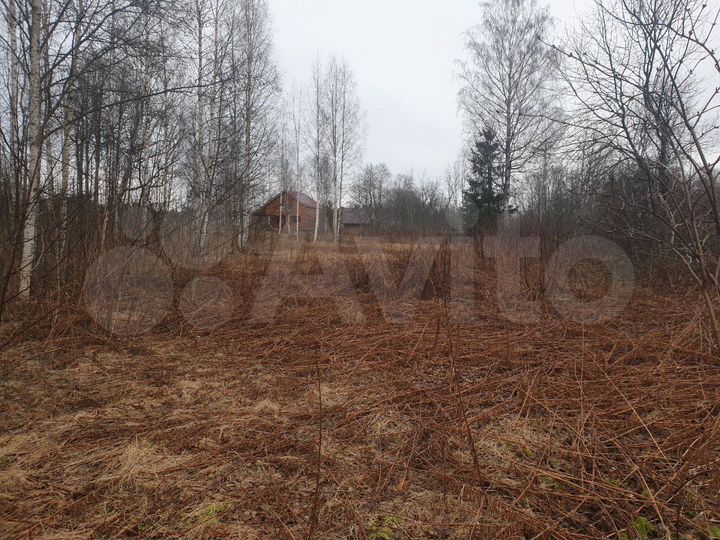 Участок 13 сот. (СНТ, ДНП)