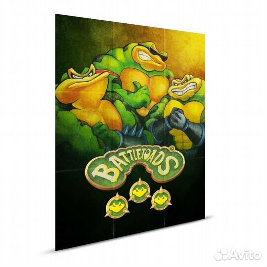 Battletoads Legacy Cartridge Collection NES