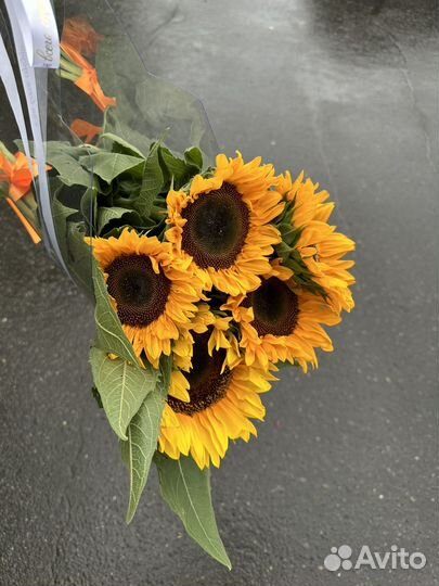 Букет солнышко на 1 сентября