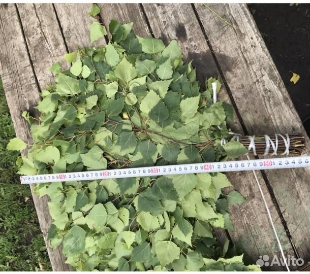 Березовые веники