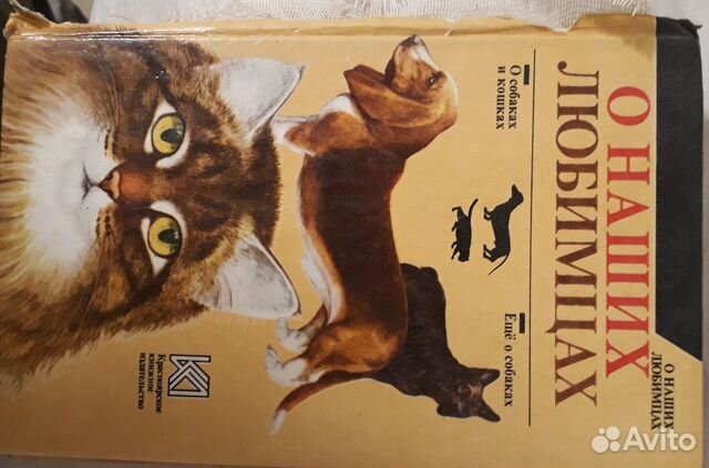 О наших любимцах