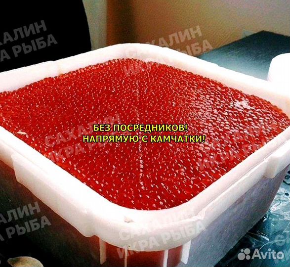 Красная икра