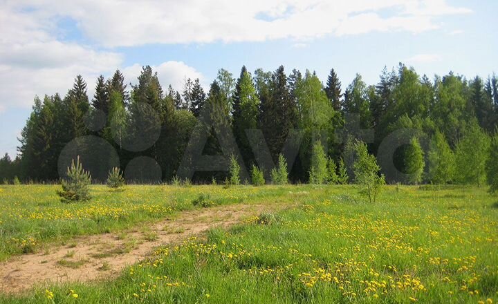 Участок 15 сот. (ИЖС)