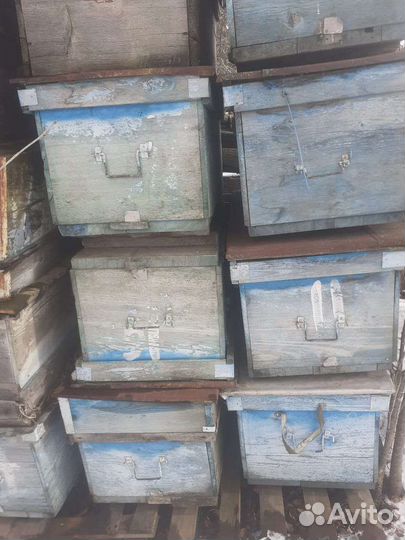 Ульи для пчел бу