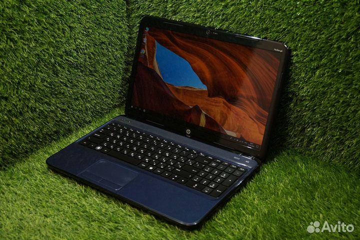 Синий HP для работы и учёбы / SSD + HDD