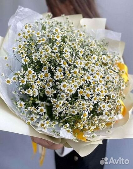 Доставка цветов. Ромашки