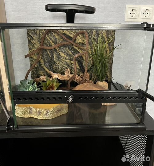 Террариум exo terra 45*45*30