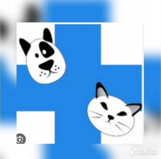 Ветеринарные услуги