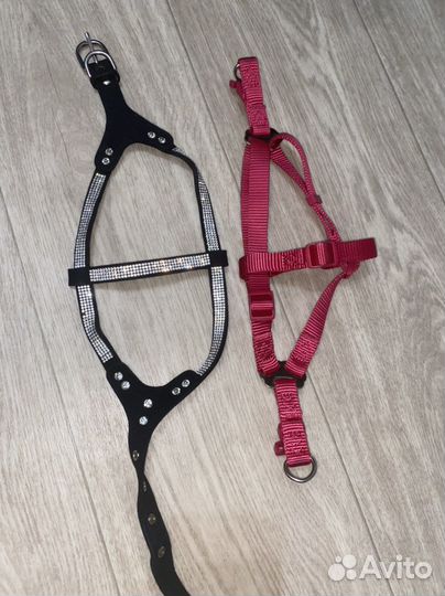 Шлейка для собаки