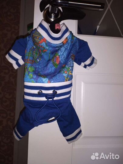 Одежда для собаки