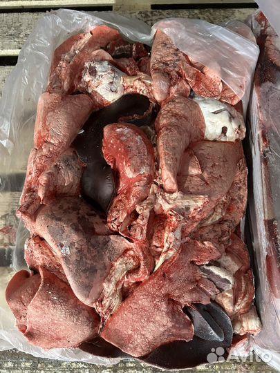 Мясо баранина