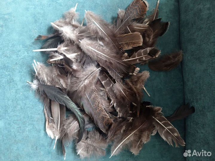 Перья для ловца снов