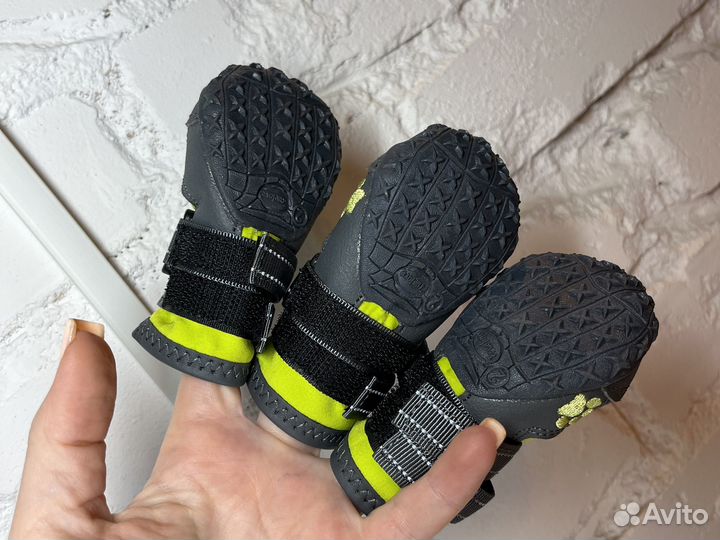 Обувь для собак