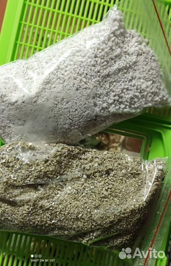 Инкубатор для яиц рептилий