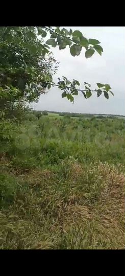 Дом 138 м² на участке 41 сот.