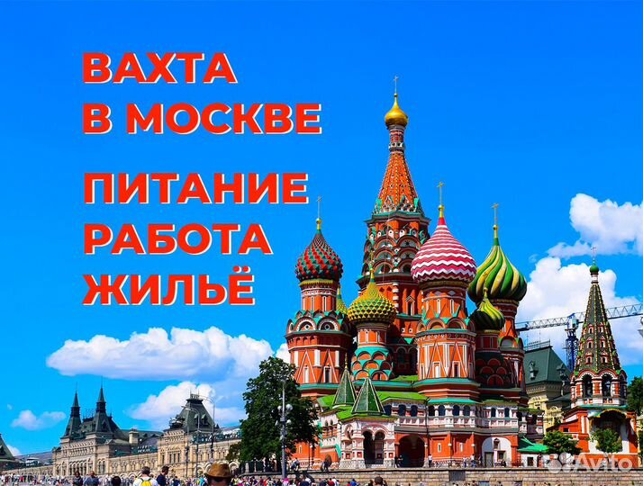 Вахта Москва на сбор шампиньонов