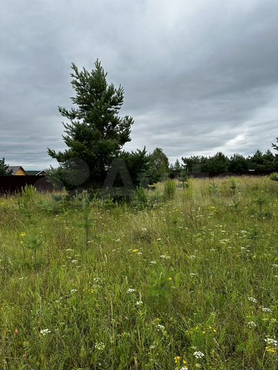 Участок 15 сот. (ИЖС)