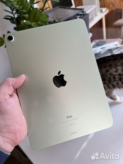 iPad Air 2020 64gb green