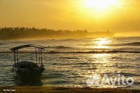 Горящие туры Шри-Ланка на двоих