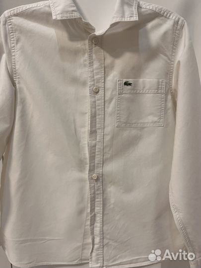 Рубашки 12 -13 лет Lacoste Calvin Klein