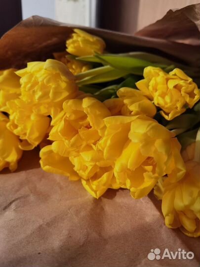 Тюльпаны пионовидные