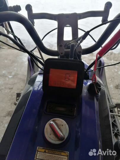 Irbis (dingo - T150)