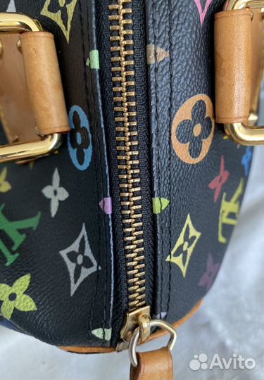 Сумка Louis Vuitton Speedy 30 многоцветная