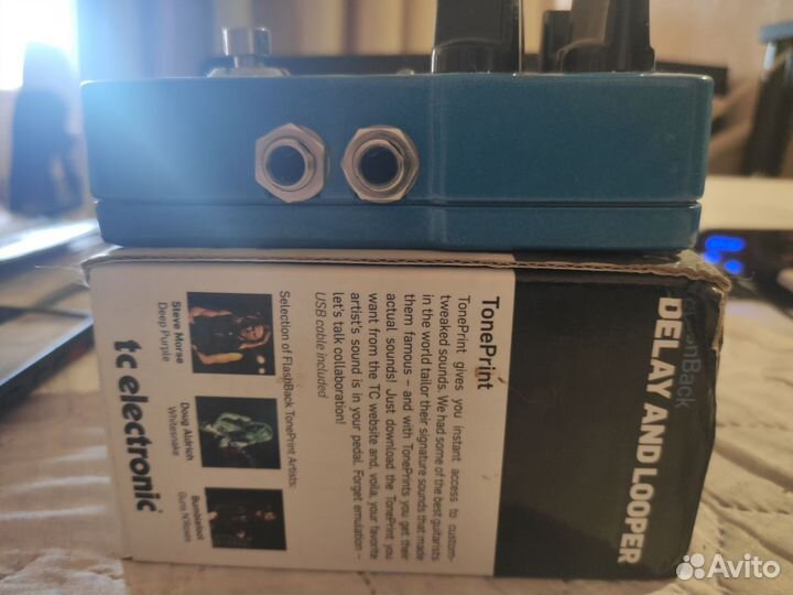 Tc electronic delay&looper TC Flashback